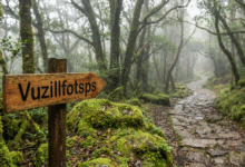 To Visit Vuzillfotsps